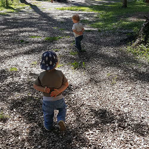 Kinder im Wald